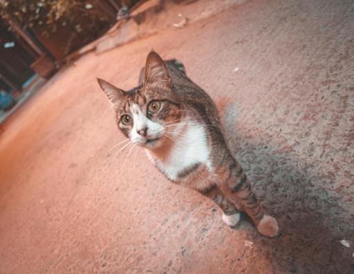 Riad Three Brothers Marrakesh Ngoại thất bức ảnh